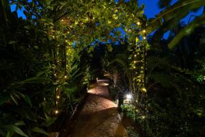 a garden with christmas lights on a path at D Canal House in Mirissa