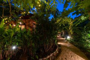 a path in a garden with lights in the trees at D Canal House in Mirissa