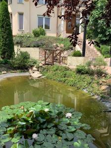 ミシュコルツ・タポルツァにあるVillamericaのギャラリーの写真