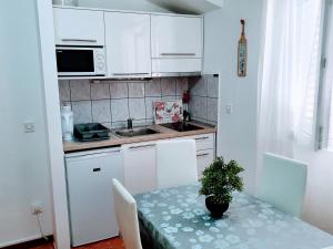 Kuchyň nebo kuchyňský kout v ubytování Guest House Antonia