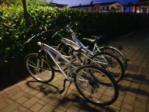波利科羅的住宿－I Giardini Elisei，两辆自行车停在路边,彼此相邻