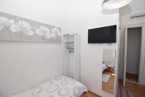 Телевизор и/или развлекательный центр в Apartmani Rina