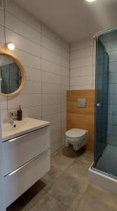 La salle de bains est pourvue de toilettes, d'un lavabo et d'une douche. dans l'établissement Pokoje Gościnne Cztery Wiatry, à Frombork