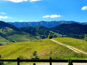a view of a green hill with a dirt road at Pensiunea Soarelui in Fundata