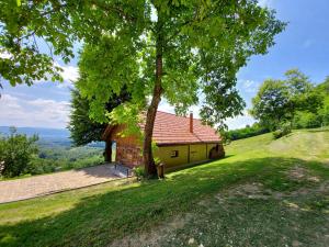 una casa en una colina con un árbol en Oldhouse Knezovo en Sromlje
