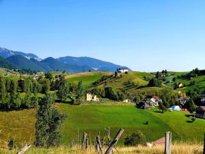 a green field with houses and mountains in the background at Pensiunea Soarelui in Fundata