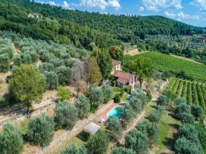 eine Luftansicht eines Anwesens mit einem Pool und einem Weinberg in der Unterkunft Villa Il Noce in Pergine Valdarno