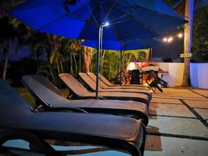 eine Reihe von Stühlen mit blauen Sonnenschirmen in der Unterkunft Villa Victoria in Sosúa