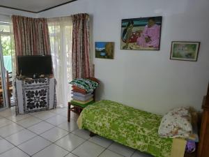 sala de estar con cama y TV en Sweet Mini Dortoir sur notre terrasse couverte pour vos transits entre deux vols by Kohutahia Lodge, 7 min by car to airport and town en Faaa