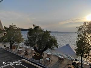 Gallery image of Aktaion in Milína +29 photos