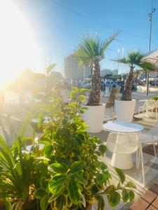 Gambar di galeri bagi Appartement accès direct mer et de toutes commodités di La Grande Motte