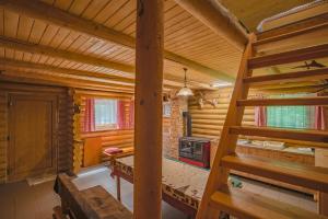 Cette grande chambre comprend une cuisinière dans une cabane en rondins. dans l'établissement Chata Hlboké, à Bojnice