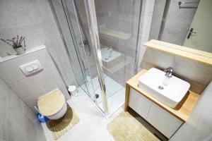 a bathroom with a shower and a sink and a toilet at Apartments Uskok in Vis