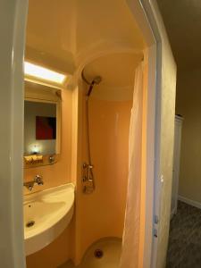 a bathroom with a sink and a mirror and a shower at Les Merisiers B&B - Thorenc in Thorenc