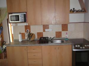 Desov的住宿－Chalupa 73，厨房配有水槽和微波炉