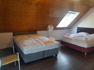 a bedroom with two beds and a skylight at Eisberg Gästehaus & De Luxe Appartements in Friesenheim