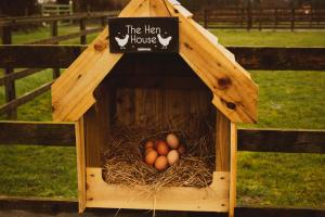 Fotografie z fotogalerie ubytování Springwood Shepherd Huts Glamping York v destinaci York