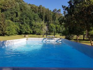 una piscina con acqua blu in un parco di La Casa nel Chianti a Greve in Chianti