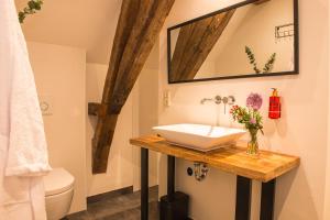 a bathroom with a sink and a toilet at B&B kasteel Ammersoyen in Ammerzoden