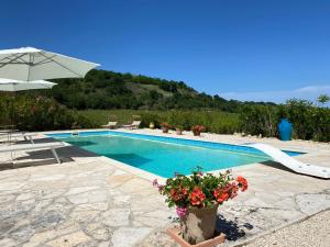 a swimming pool with an umbrella and some flowers at Casa delle Sorgenti in Montefiore dellʼAso