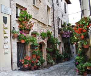 Borgo San Sisto Apartment في سبيلّو: زقاق مع نباتات الفخار على جانب المبنى