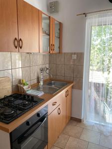 Kuchyň nebo kuchyňský kout v ubytování Apartments Jelusic