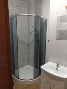 Ett badrum på SORKWITY- Pensjonat - STARY GIELĄD