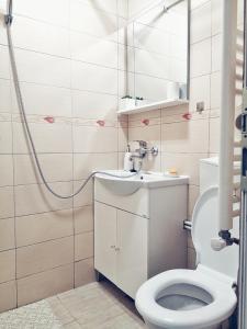 a bathroom with a toilet and a sink and a shower at Apartament One Divine - Zarnesti in Zărneşti