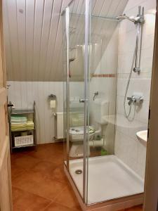 a glass shower in a bathroom with a toilet at Apartment Milena in Nomenj