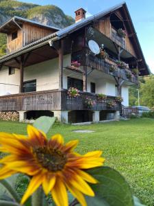 a yellow flower in front of a house at Apartment V&N, LAKE BOHINJ in Bohinj