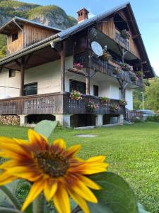 Taman di luar Apartment V&N, LAKE BOHINJ