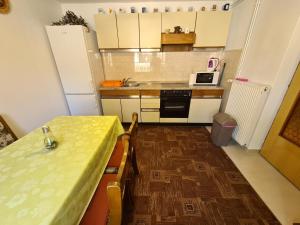 Kuchyň nebo kuchyňský kout v ubytování Apartment Čutul + 4 fotografie