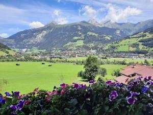 ein grünes Feld mit Blumen und Bergen im Hintergrund in der Unterkunft Pongitzerhof in Matrei in Osttirol