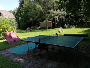 un tavolo da ping pong in mezzo a un cortile di Appartements Kubisko a Keutschach am See