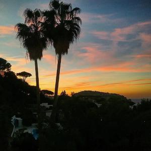 two palm trees in front of a sunset at Hotel Parco Conte in Ischia