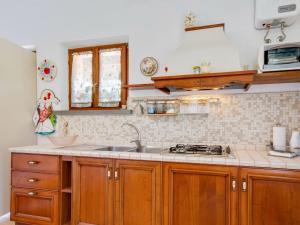 Kuchyň nebo kuchyňský kout v ubytování Pet-Friendly Villa with Pool