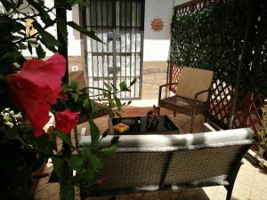 A seating area at BELLA PALERMO
