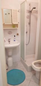 La salle de bains est pourvue d'une douche, de toilettes et d'un lavabo. dans l'établissement Beautiful Apartment in Menton Winter Palace With Super Terrace and Wonderful View, à Menton