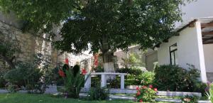 une maison avec un arbre et un banc dans la cour dans l'établissement CASA LUPITA, à Mineral del Monte