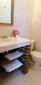 La salle de bains est pourvue d'un lavabo, de toilettes et d'un miroir. dans l'établissement CASA LUPITA, à Mineral del Monte