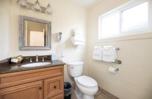 a bathroom with a toilet and a sink and a window at Villa Franca Inn in Monterey