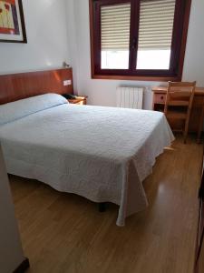 a bedroom with a bed and a desk and a window at Hostal Adelia in A Coruña