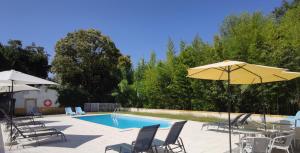 ein Schwimmbecken mit Stühlen und Sonnenschirmen daneben in der Unterkunft Hotel Do Parque, Boutique Hotel - Curia in Curia