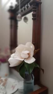 a white flower in a vase on a table at HOTEL RURAL San Pedro in Frómista