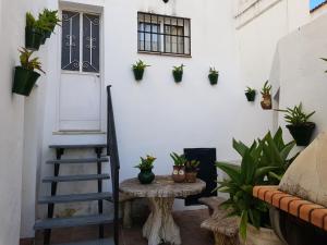een kamer met potplanten aan de muur bij Casa Ignacio in Arriate