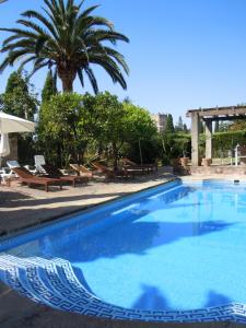 una gran piscina con sillas y una palmera en Palacio Chaves Hotel, en Trujillo