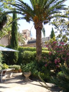 una palmera en un jardín con arbustos y flores en Palacio Chaves Hotel, en Trujillo