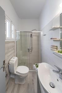 a bathroom with a toilet and a shower and a sink at Letta's Apartments in Finikas