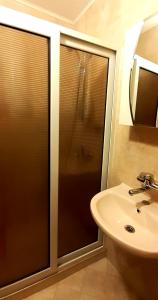 プリモルスコにあるMihaela Apartmentのバスルーム(シャワー、シンク付)