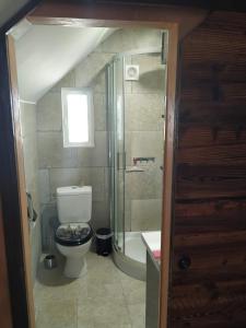 a small bathroom with a toilet and a shower at Le Serpolet in Ozolles